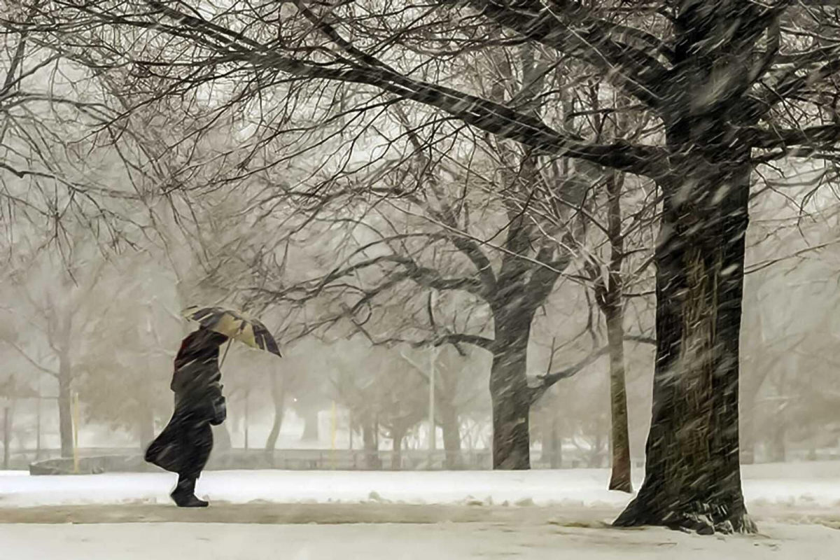 Потепление с подвохом: штормовой ветер и мокрый снег испортят Украине начало недели