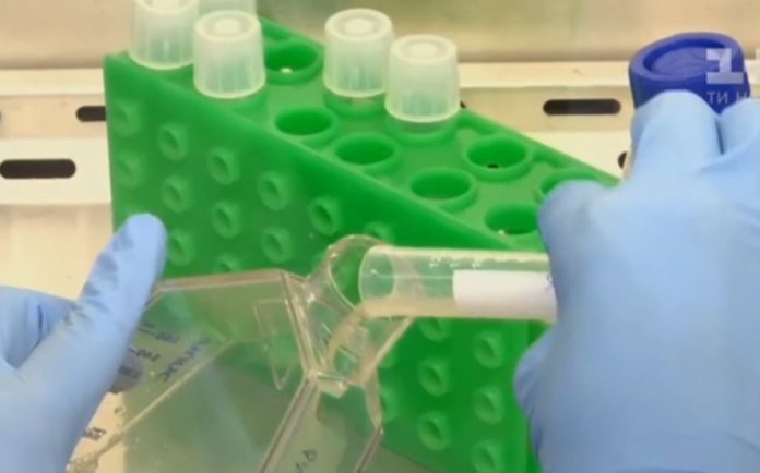 Создан разлагающийся в океане биопластик - подробности