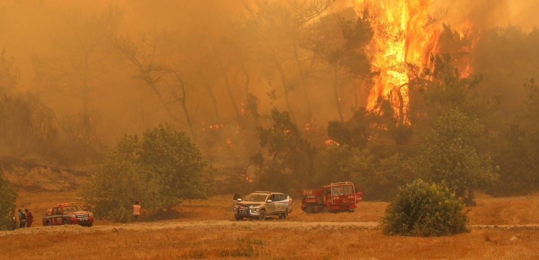 На Турцию обрушился новый сильный лесной пожар: несколько районов охвачены огнем