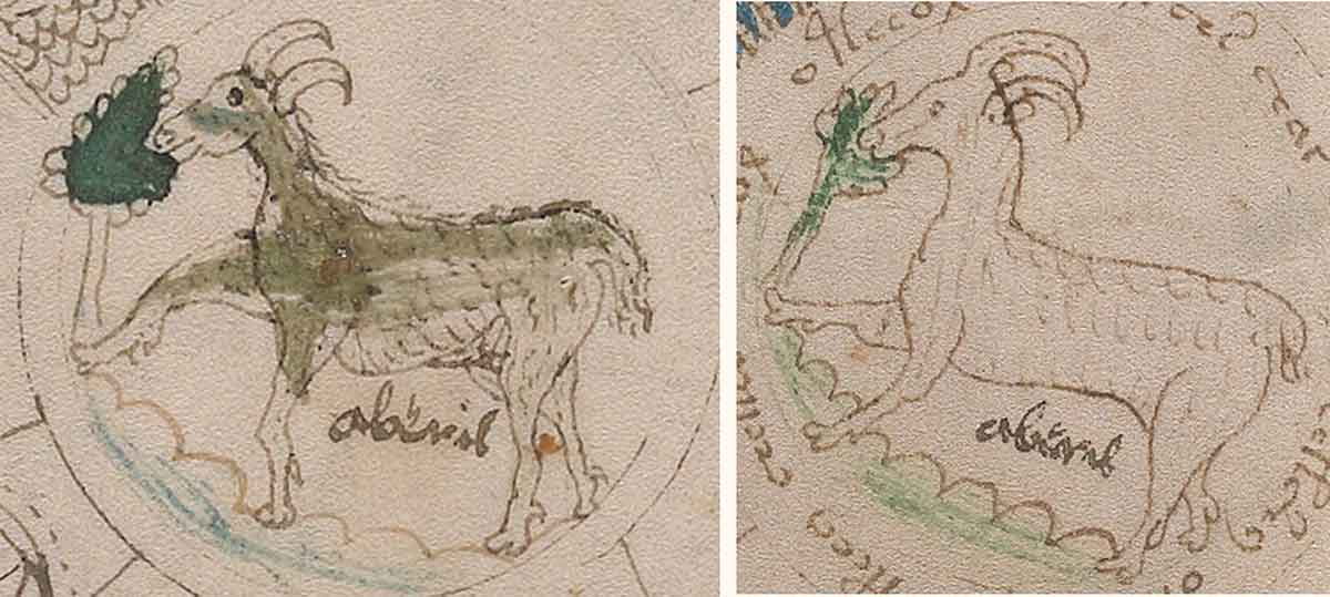 Расшифрован самый загадочный манускрипт средневековой Европы, называемый "посланием инопланетян", – кадры