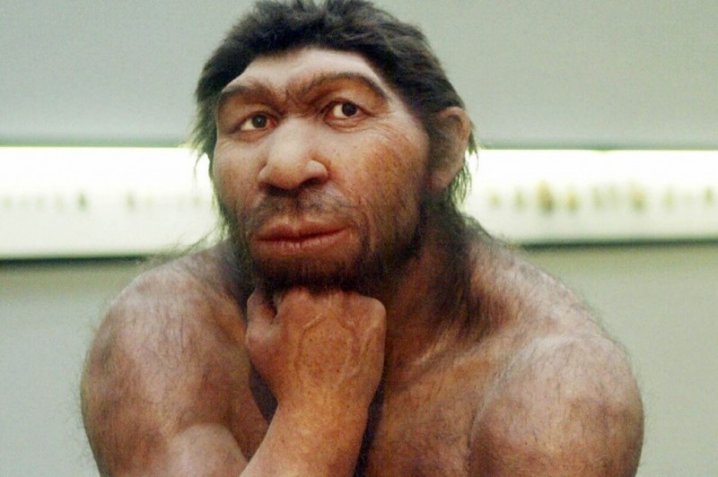 Палеонтологи выяснили, почему у неандертальцев был необычно крупный нос
