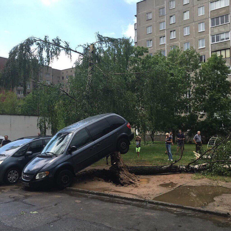 Стихия в Беларуси: пострадали десятки человек, повреждены дома, обесточены более тысячи населенных пунктов