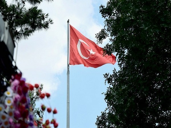 Власти Турции вызвали посла РФ из-за вторжения российского боевого самолета