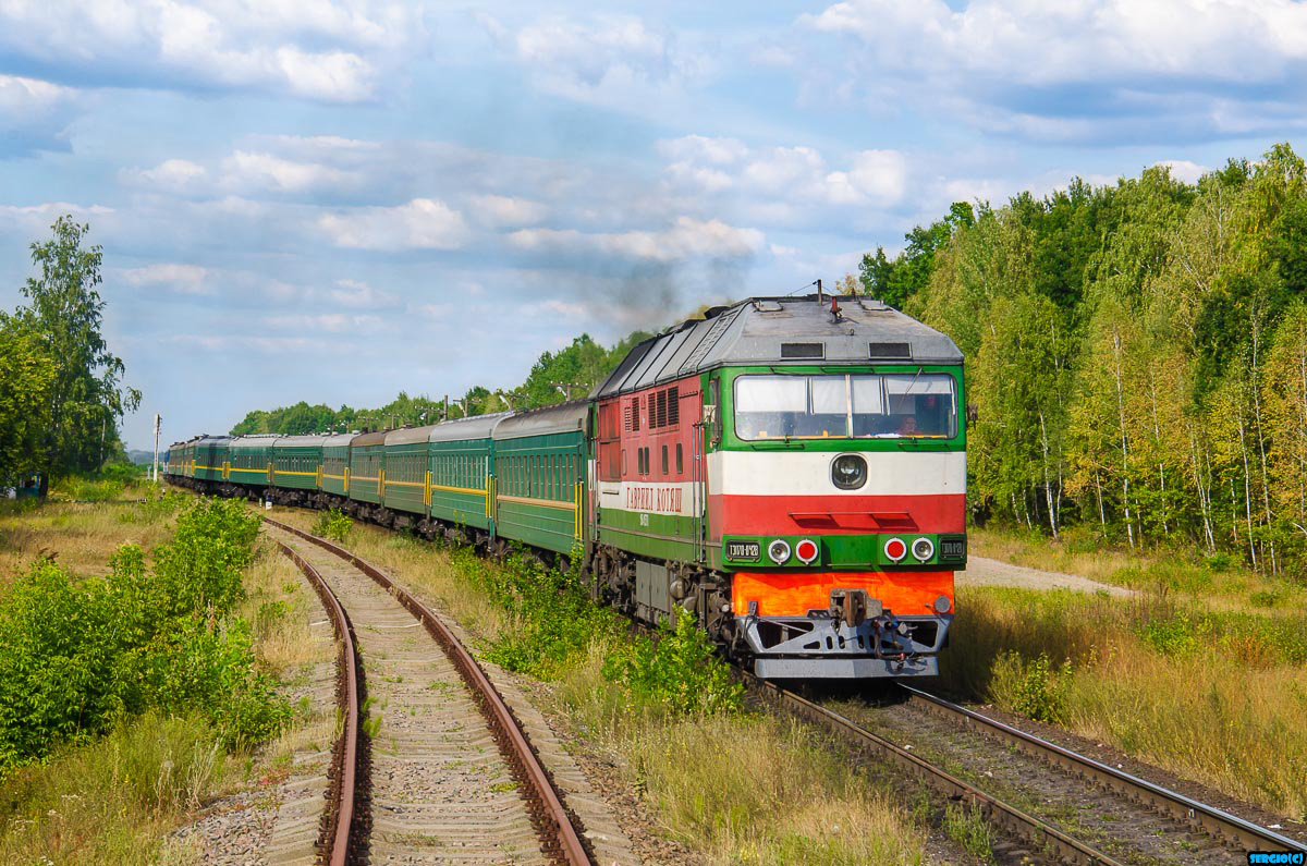 Мощный ураган остановил движение поездов Белоруссии: железнодорожные пути завалены деревьями