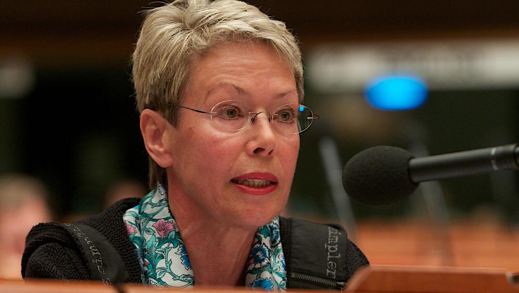 Стало известно кто заменит Хайди Тальявини на посту спецпредставителя ОБСЕ в Украине