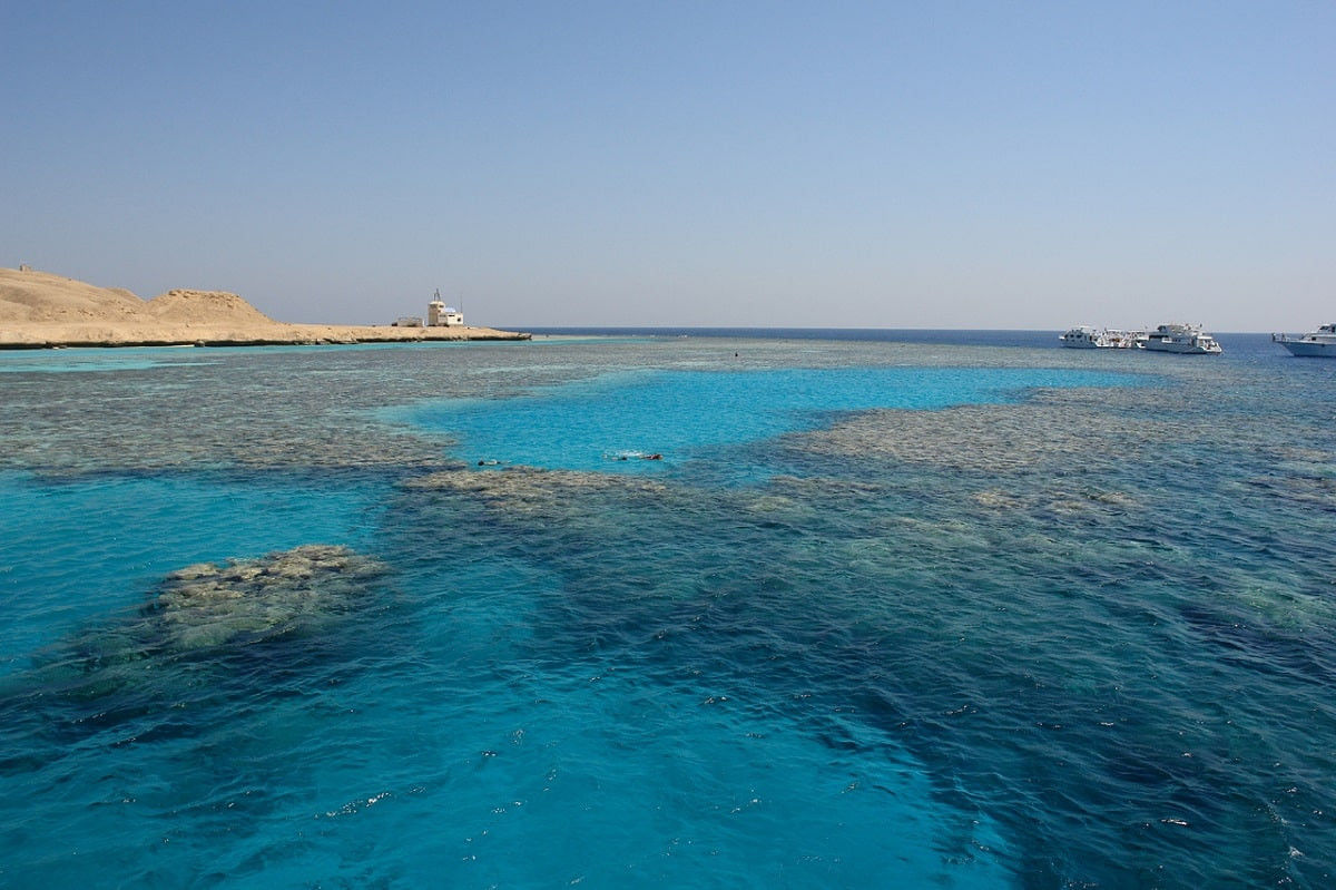 Ученые нашли на дне Красного моря "бассейны смерти": что значит пугающее открытие