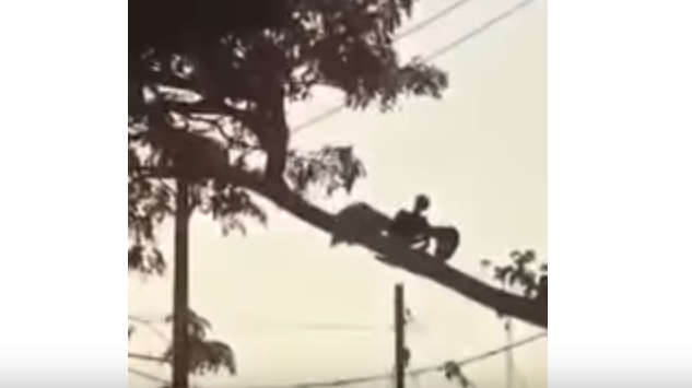 Таинственное существо в Никарагуа: жители засняли на видео человекоподобное крылатое создание