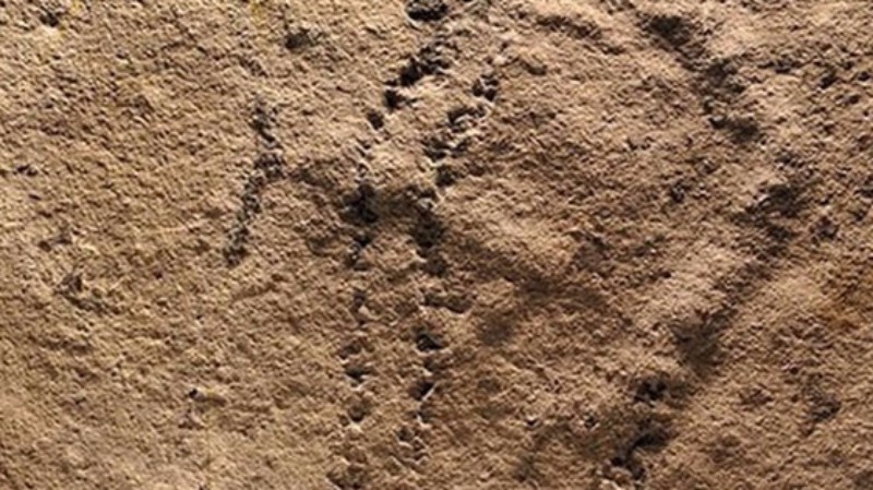 В Китае обнаружили уникальные следы загадочного существа, оставлявшего огромные вмятины на земле