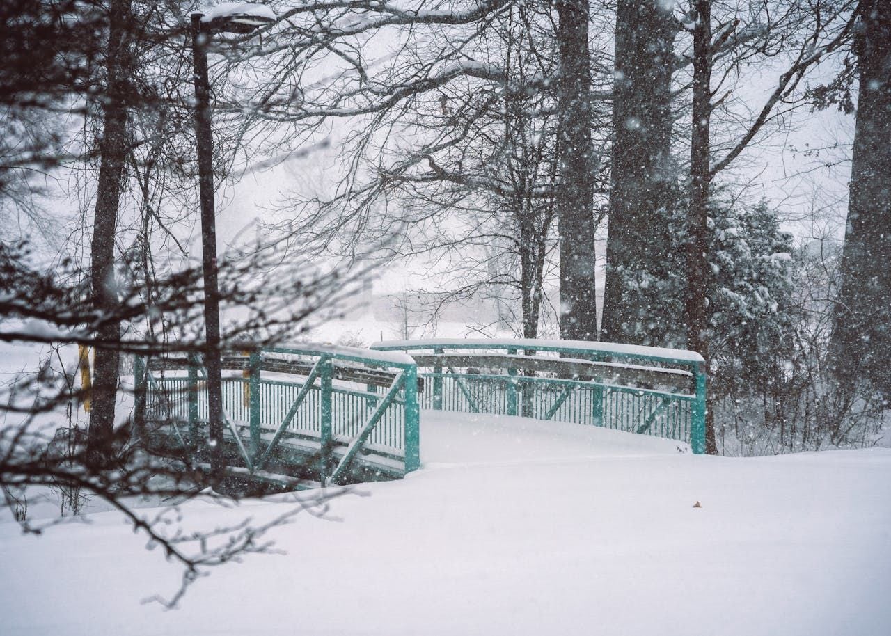 Метели, дожди, а местами до -20: украинцев ждет непростая погода на неделе