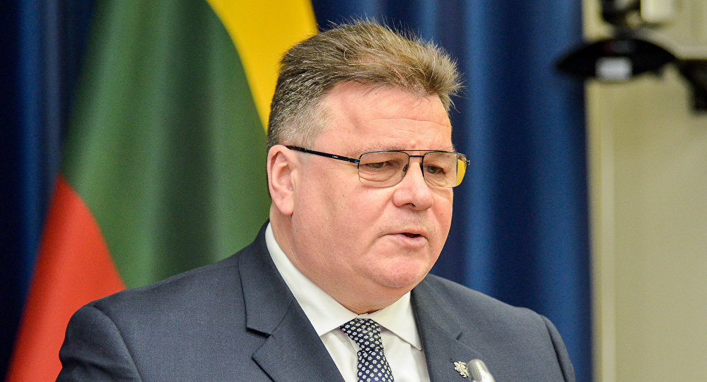 "Агрессор жалуется, что жертва сопротивляется", - глава литовской дипломатии Линкявичус отреагировал на заявления РФ против передачи Западом летального оружия Украине