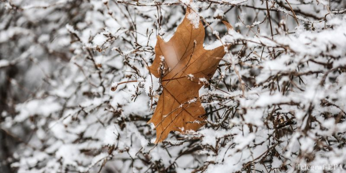 Погода в начале декабря в Украине: что-то новое каждый день