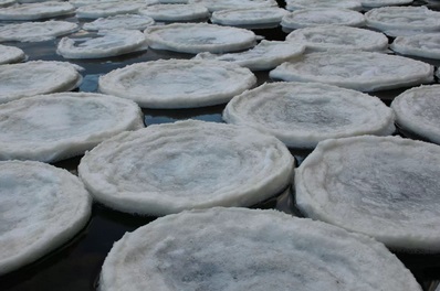 В Шотландии обнаружили замороженные неопознанные объекты, плавающие в реке