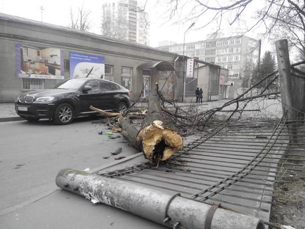 Непогода в Харькове: ураган срывает крыши и валит деревья