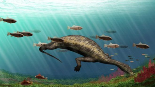 Обнаружен первый морской динозавр-вегетарианец, размером с крупного современного крокодила, обитавший около 245 млн лет назад