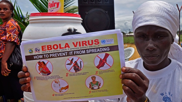Количество погибших от лихорадки Эбола приближается к 8 тысячам человек