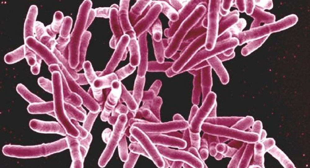 Ученые в Британии бьют тревогу: опасная бактерия выкосит до 10 миллионов жителей Земли за год