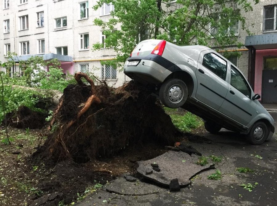 Шокирующие последствия урагана в Москве: уничтожена пирамида Голода, обрушены конструкции, деревья вырваны с корнями – опубликованы кадры