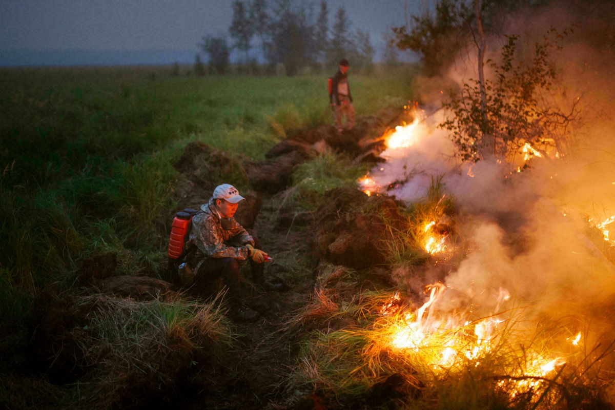 В Якутии власти дали добро на добивание животных, уцелевших в беспрецедентных лесных пожарах