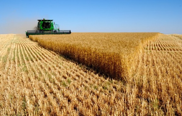 ДонОГА: ДНР запрещает фермерам вывозить урожай