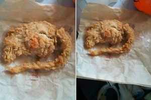 Mirror: посетителю ресторана KFC подали крысу в панировочных сухарях 