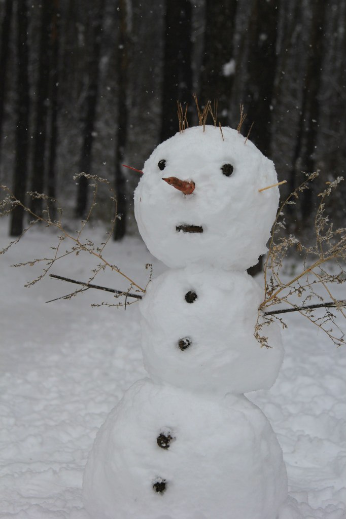 Первый снег в столице заставил выйти на улицы Киева 259 единиц снегоуборочной техники
