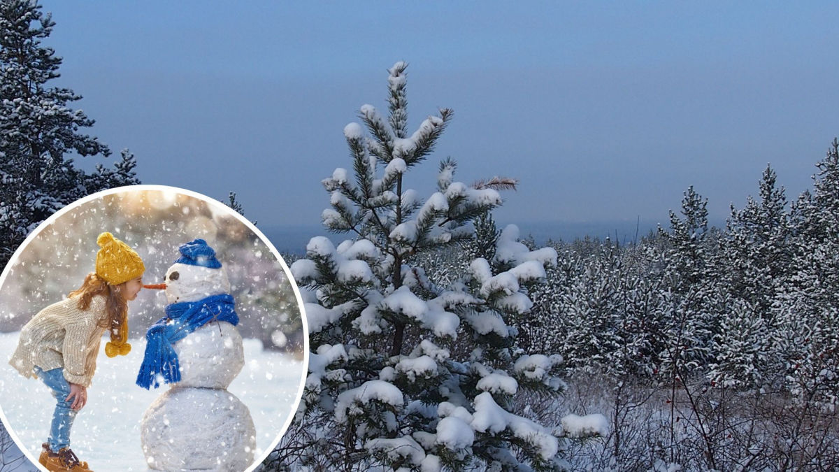 ​Мороз до –18 градусов уже не за горами: синоптики озвучили дату прихода в Украину сильных морозов