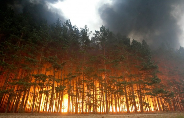 Тушить по-русски: в Бурятии пьяные летчики пытались бороться с лесными пожарами 