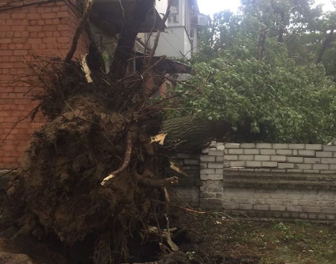 Кадры "природного армагеддона" на Донбассе: стихия валила остановки и деревья, много разрушений - подробности