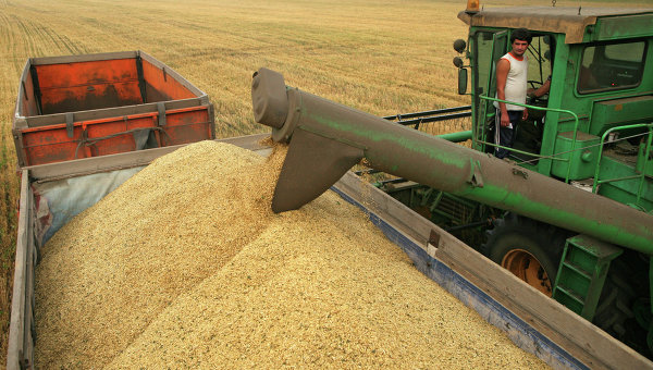 Киев ищет возможности вывоза зерна из зоны АТО