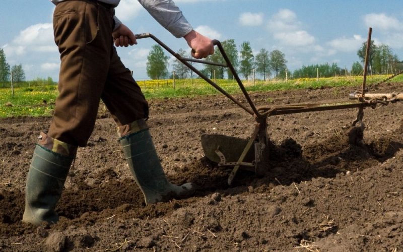 Фермеры Европы получат от ЕС 30 миллионов евро из-за эмбарго России