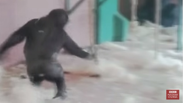 Невероятный хит Интернета: видеоролик с танцующей в зоопарке гориллой собирает миллионы просмотров