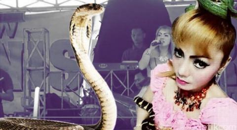 Королевская кобра напала на индонезийскую певицу на сцене: Ирма Бьюл не выжила