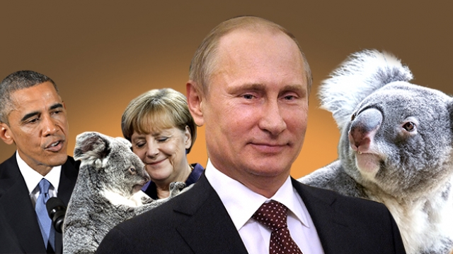 В обнимку с Путиным, Обамой и Меркель. На саммите G20 фотографировались с коалами