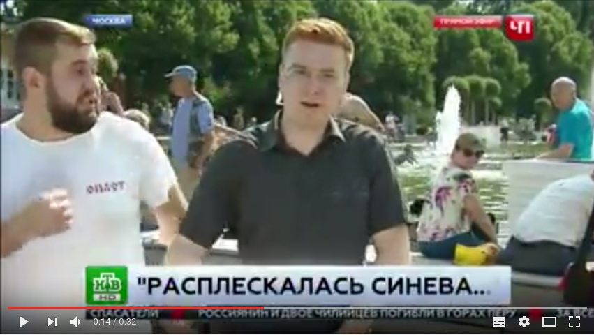 "Кто бы мог подумать, что мечту миллионов украинцев воплотит бычок из банды Захарченко": пропагандиста из "НТВ" ударил пьяный "чувак" в футболке бандитской группировки "Оплота"
