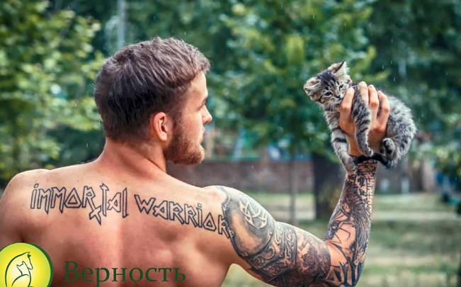 Мужественность, сила, красота и… котики: великолепные полуобнаженные парни пристраивают бездомных котят в добрые руки – кадры
