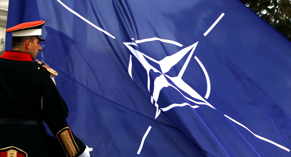 Озвучена неожиданная преграда для вступления Украины в НАТО
