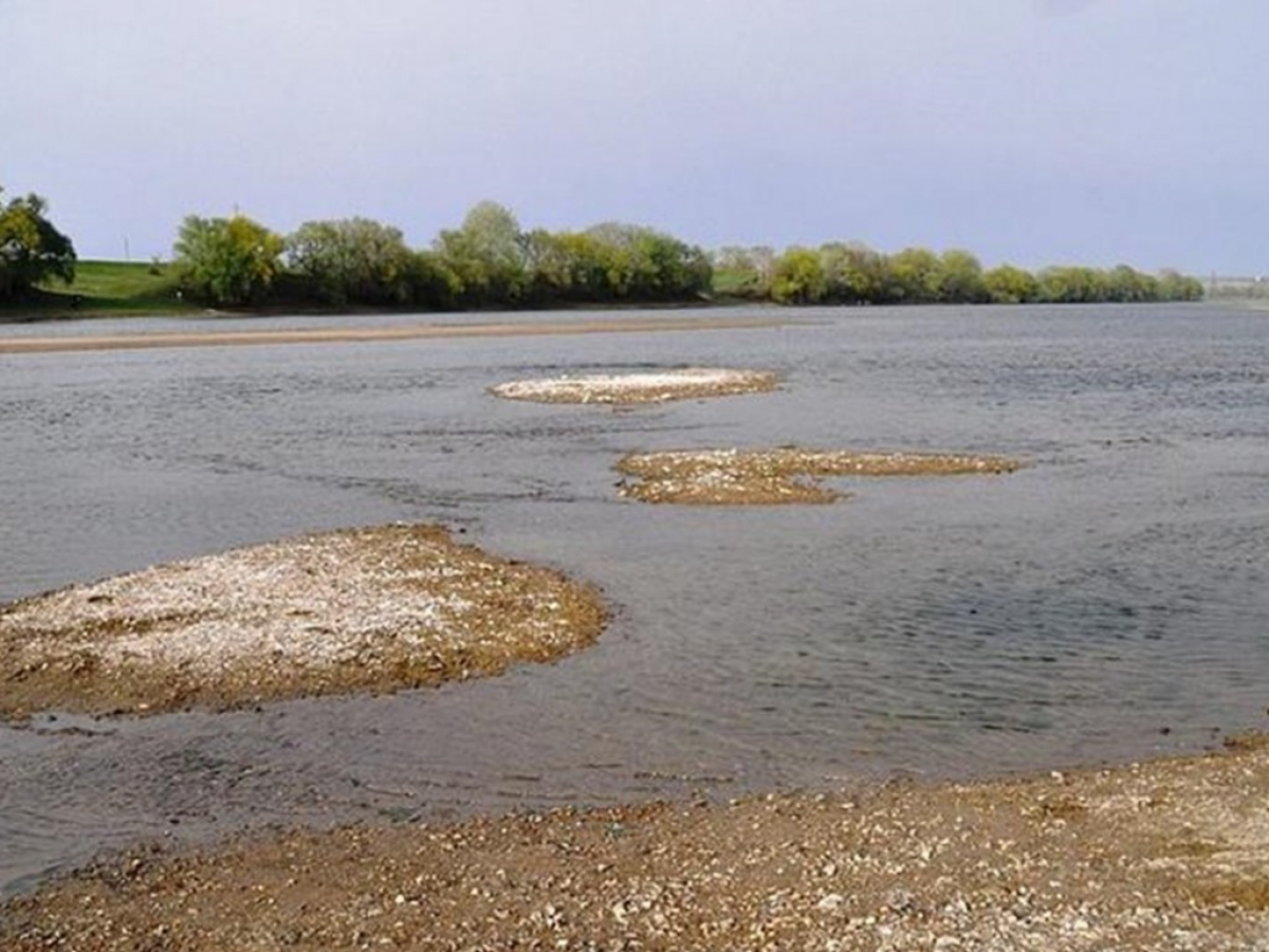 Дефицит воды в Украине: СНБО выступил с предупреждением 