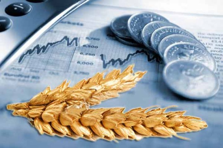 У МВФ дали прогноз, до чого призведе зерновий шантаж Росії: "Ціни зростуть на 10–15 %"