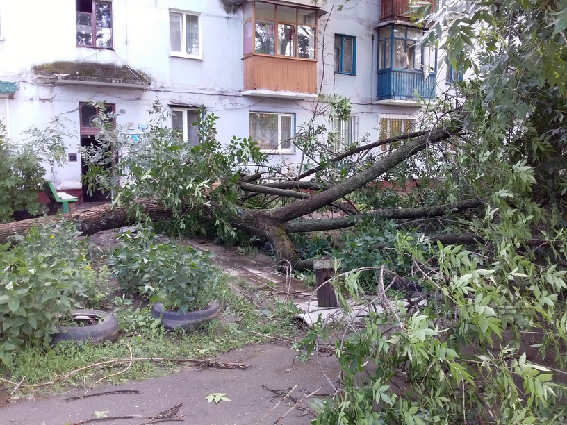 Разбитые машины, поваленные деревья, сорванные крыши: в Сети появились кадры последствий урагана в Горловке