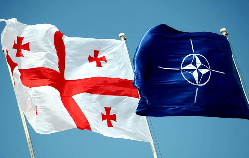 Все страны НАТО выступили за Грузию в составе альянса