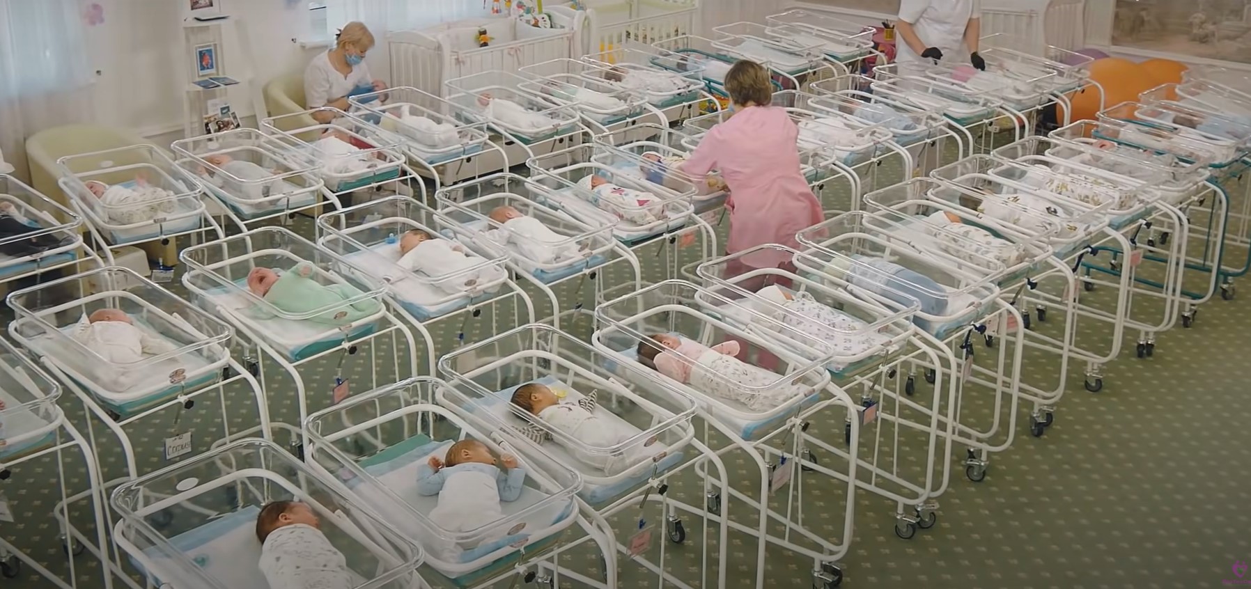 46 киевских младенцев для иностранцев: появились видеокадры из больницы