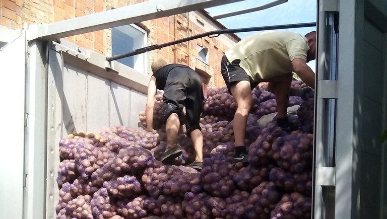 Беженцам в Мариуполе привезли 50 тонн картошки из Черкасской и Сумской областей 