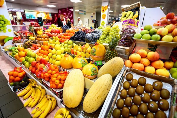 Коллапс экономики близок: правительство России приняло решение отменить продуктовое эмбарго против Украины