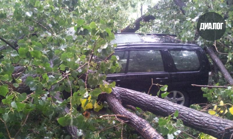 Последствия урагана в Запорожье: поврежденные линии электропередач и уничтоженные авто