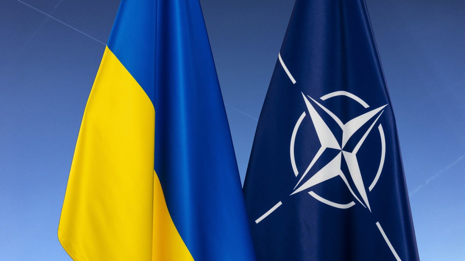"Украина защищает НАТО", – Борис Пинкус высказал мнение по поводу возможного членства Украины в Альянсе