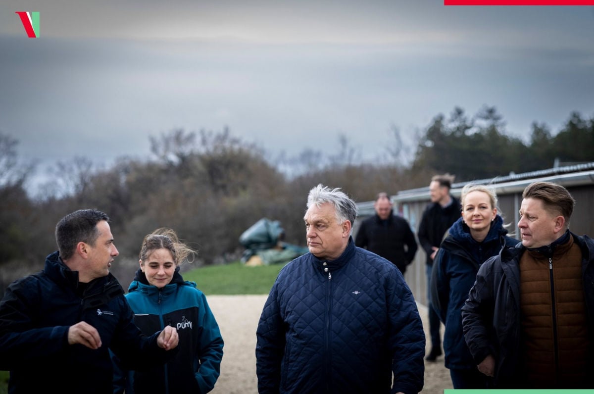 Орбан расставил ловушки для Мадьяра на случай поражения на выборах