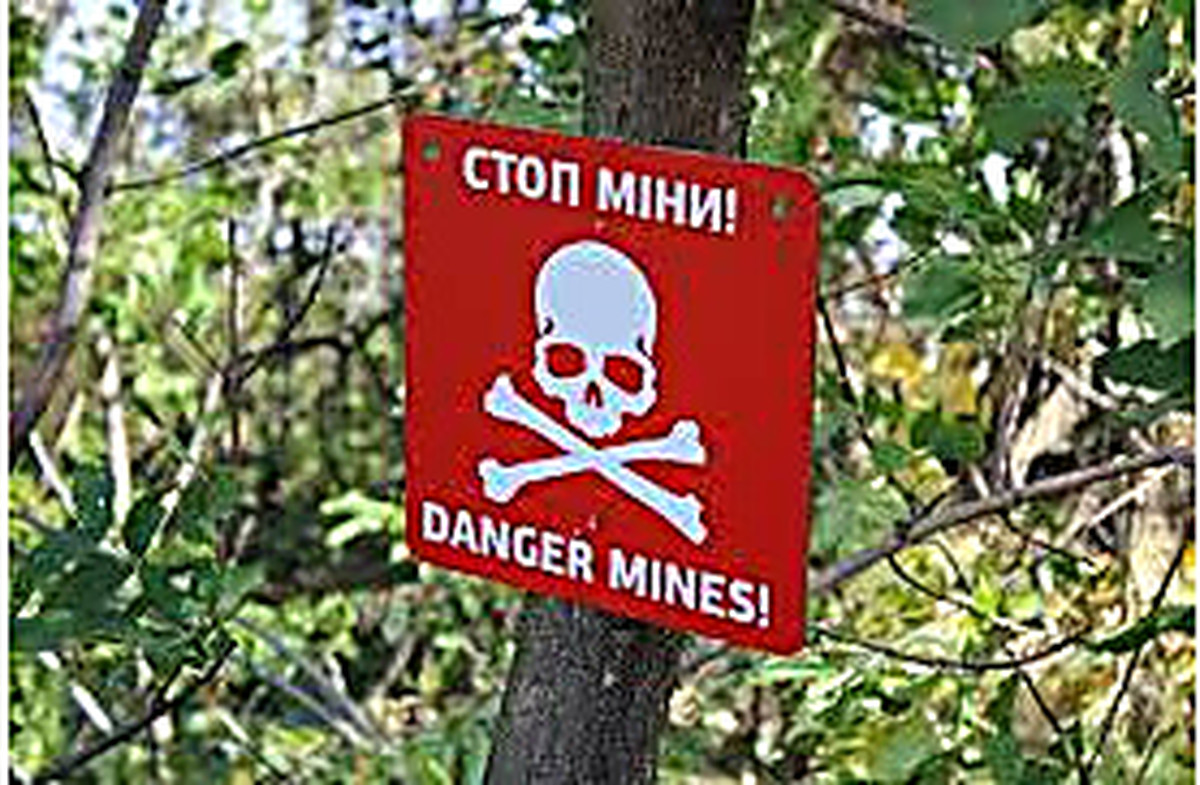 Лисянский рассказал, кого следует винить в страшной трагедии с детьми, подорвавшимися на мине в серой зоне