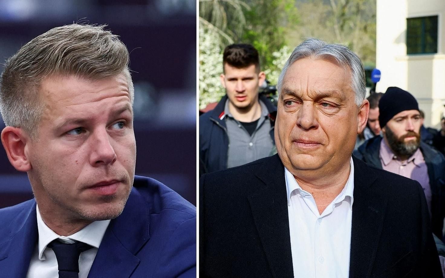 Разгром Орбана: известно, сколько мест в парламенте получит партия Петера Мадьяра "Тиса"