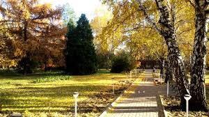 Ситуация в Донецке и Луганске: новости, курс валют, цены на продукты, хроника событий 11.10.2016