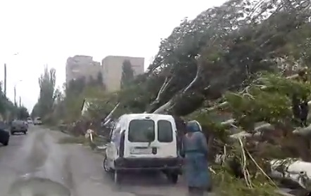 Последствия шторма в Бердянске: сотни деревьев вырваны с корнем, а асфальт вздыбился